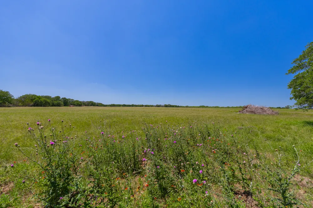 Address Not Shown Purmela, TX 76566