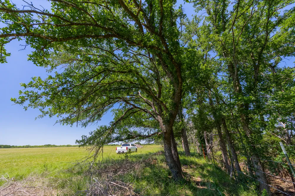 Address Not Shown Purmela, TX 76566
