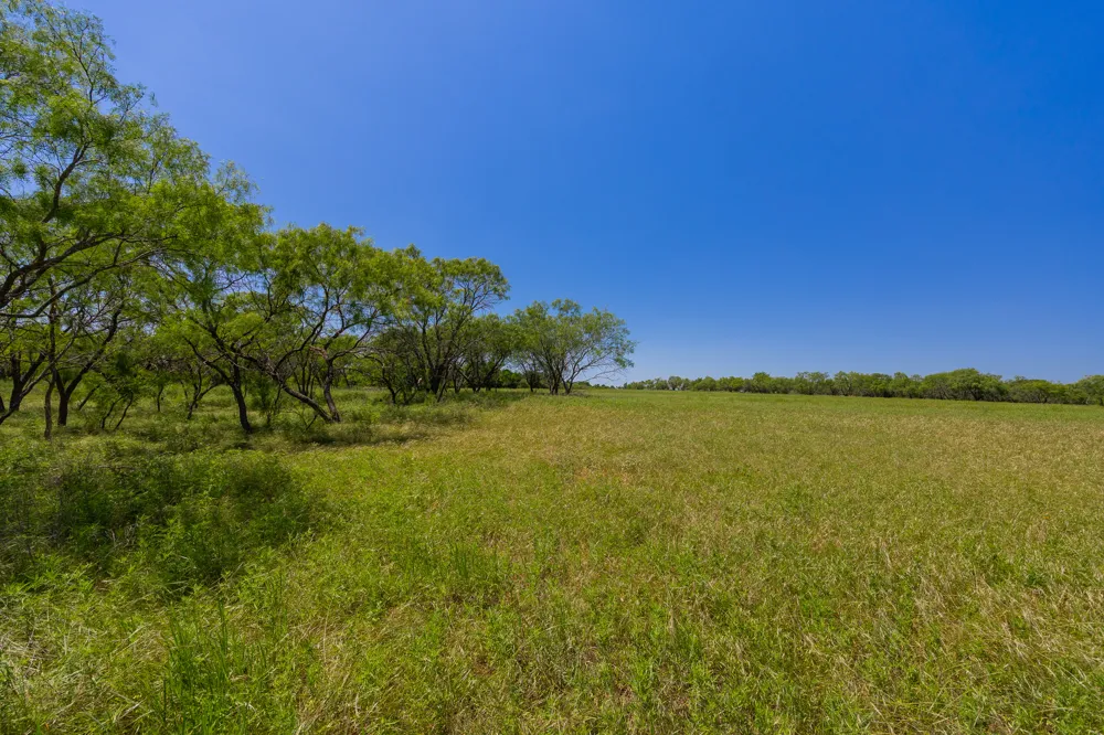 Address Not Shown Purmela, TX 76566