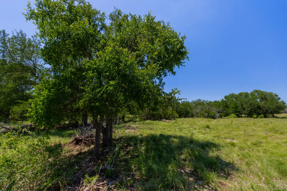 Address Not Shown Purmela, TX 76566