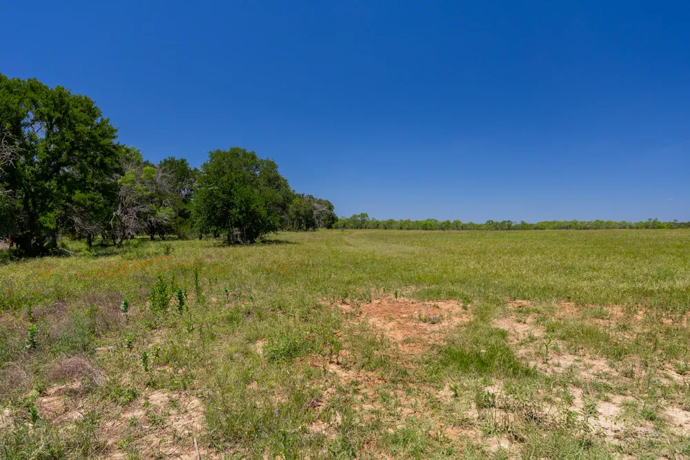 Address Not Shown Purmela, TX 76566