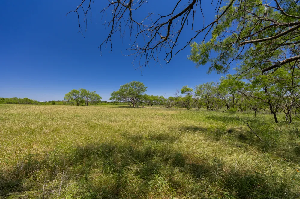 Address Not Shown Purmela, TX 76566