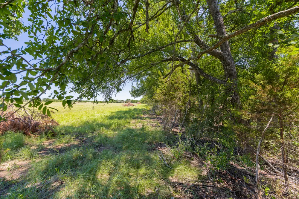 Address Not Shown Purmela, TX 76566