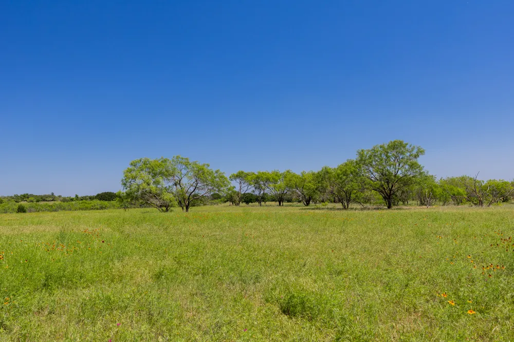 Address Not Shown Purmela, TX 76566