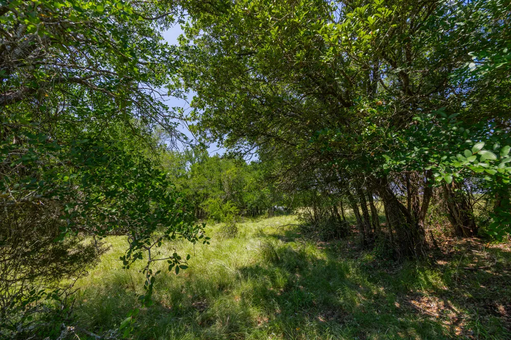 Address Not Shown Purmela, TX 76566
