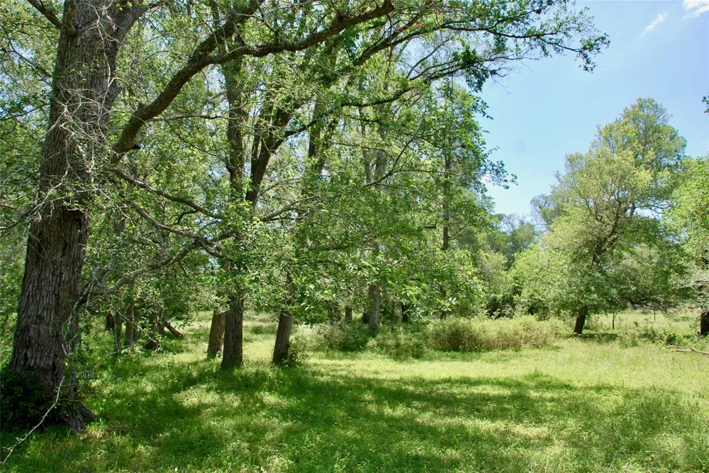 2340 Langdon Road Weimar, TX 78962