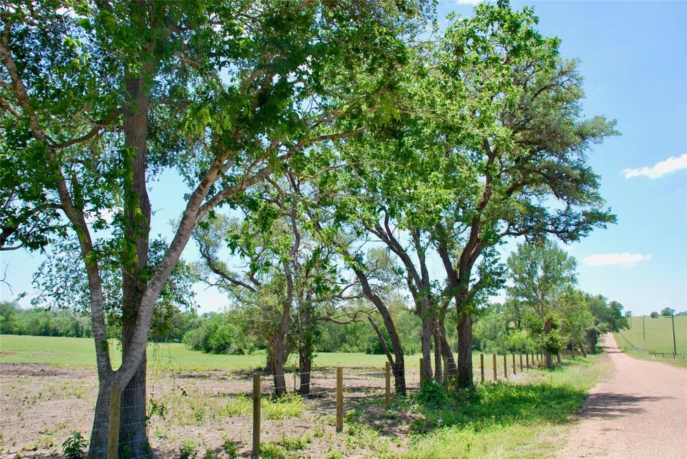 2340 Langdon Road Weimar, TX 78962