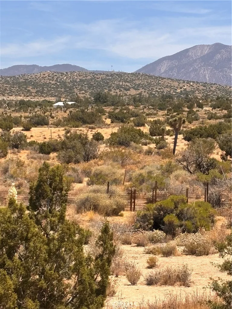 126th Pearblossom, CA 93553