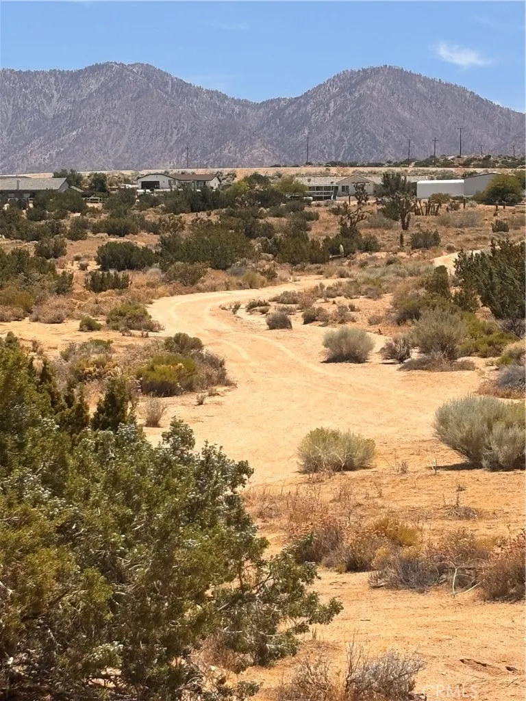 126th Pearblossom, CA 93553