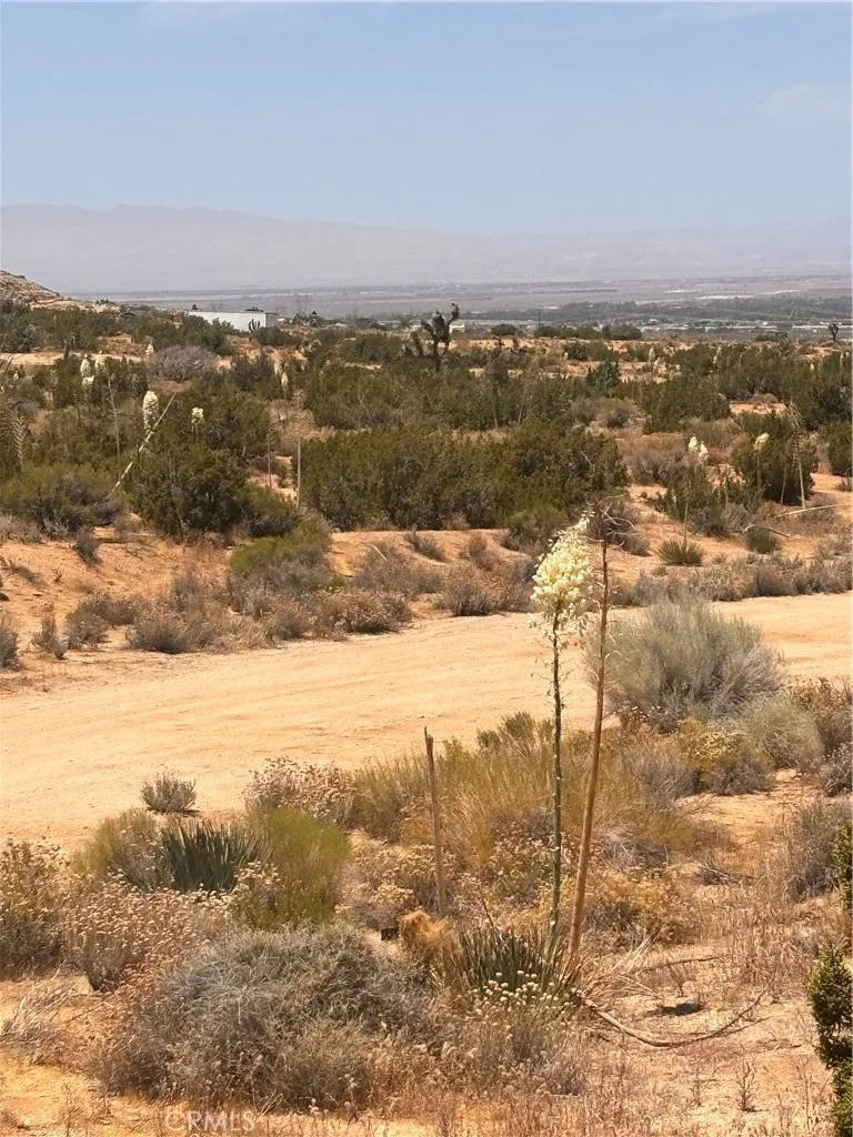 126th Pearblossom, CA 93553