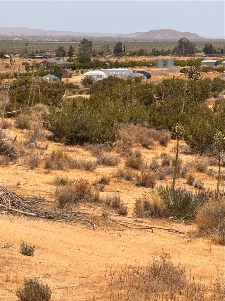 126th Pearblossom, CA 93553
