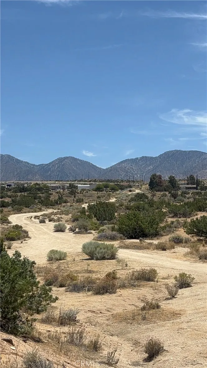 126th Pearblossom, CA 93553
