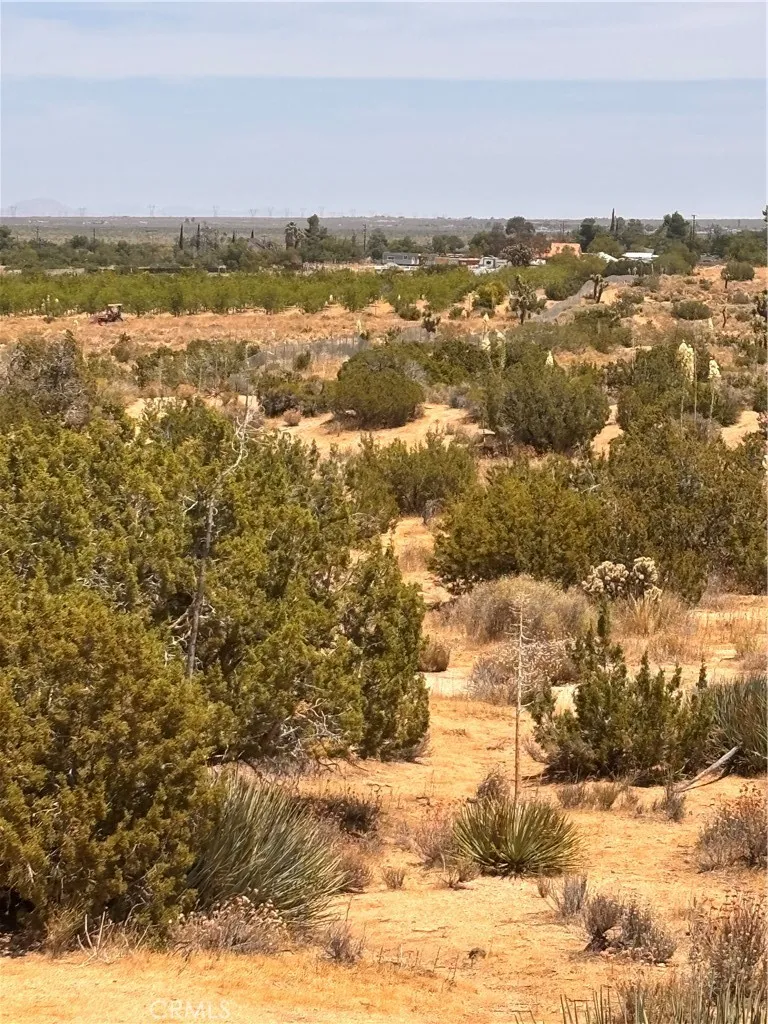 126th Pearblossom, CA 93553