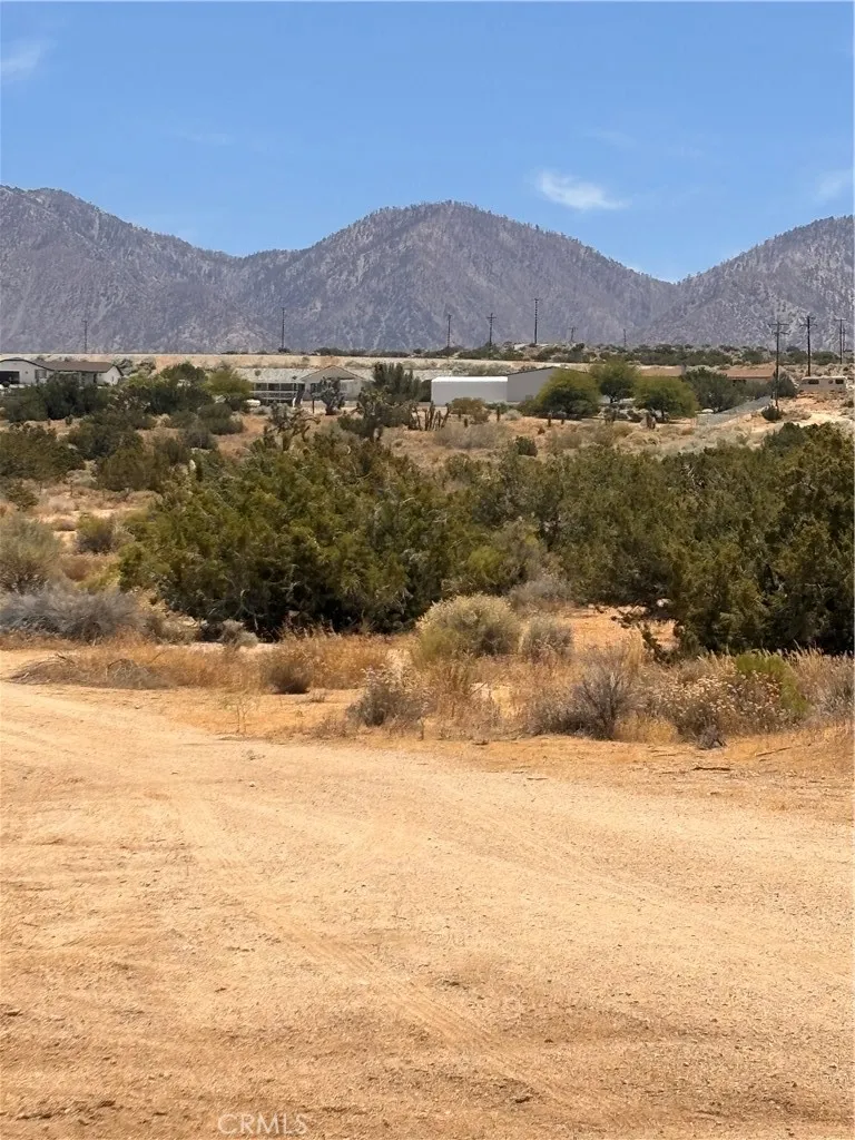126th Pearblossom, CA 93553