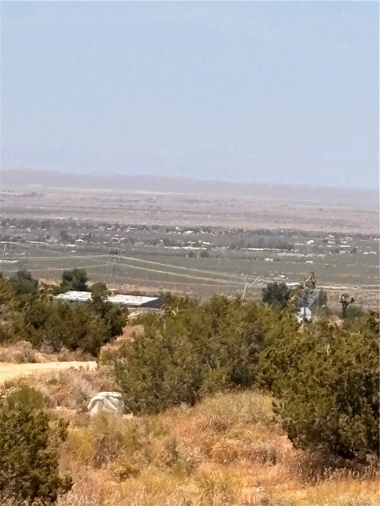 126th Pearblossom, CA 93553
