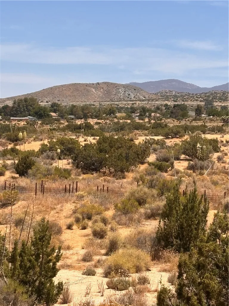 126th Pearblossom, CA 93553