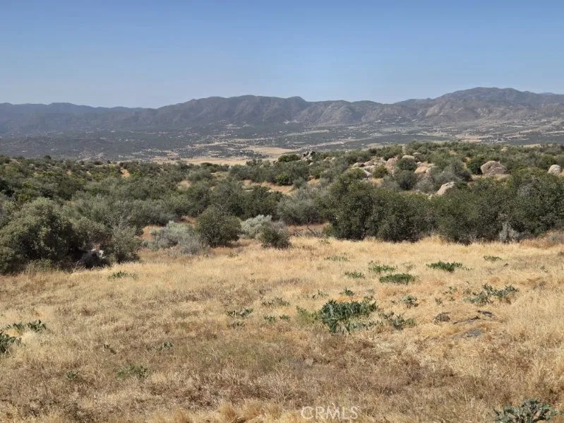 1 Silver saddle CT Anza, CA 92539