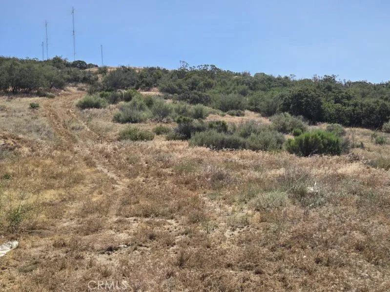 1 Silver saddle CT Anza, CA 92539