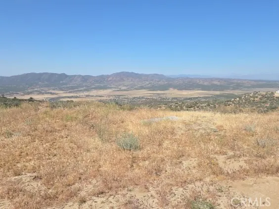 1 Silver saddle CT Anza, CA 92539
