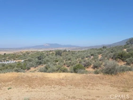 1 Silver saddle CT Anza, CA 92539
