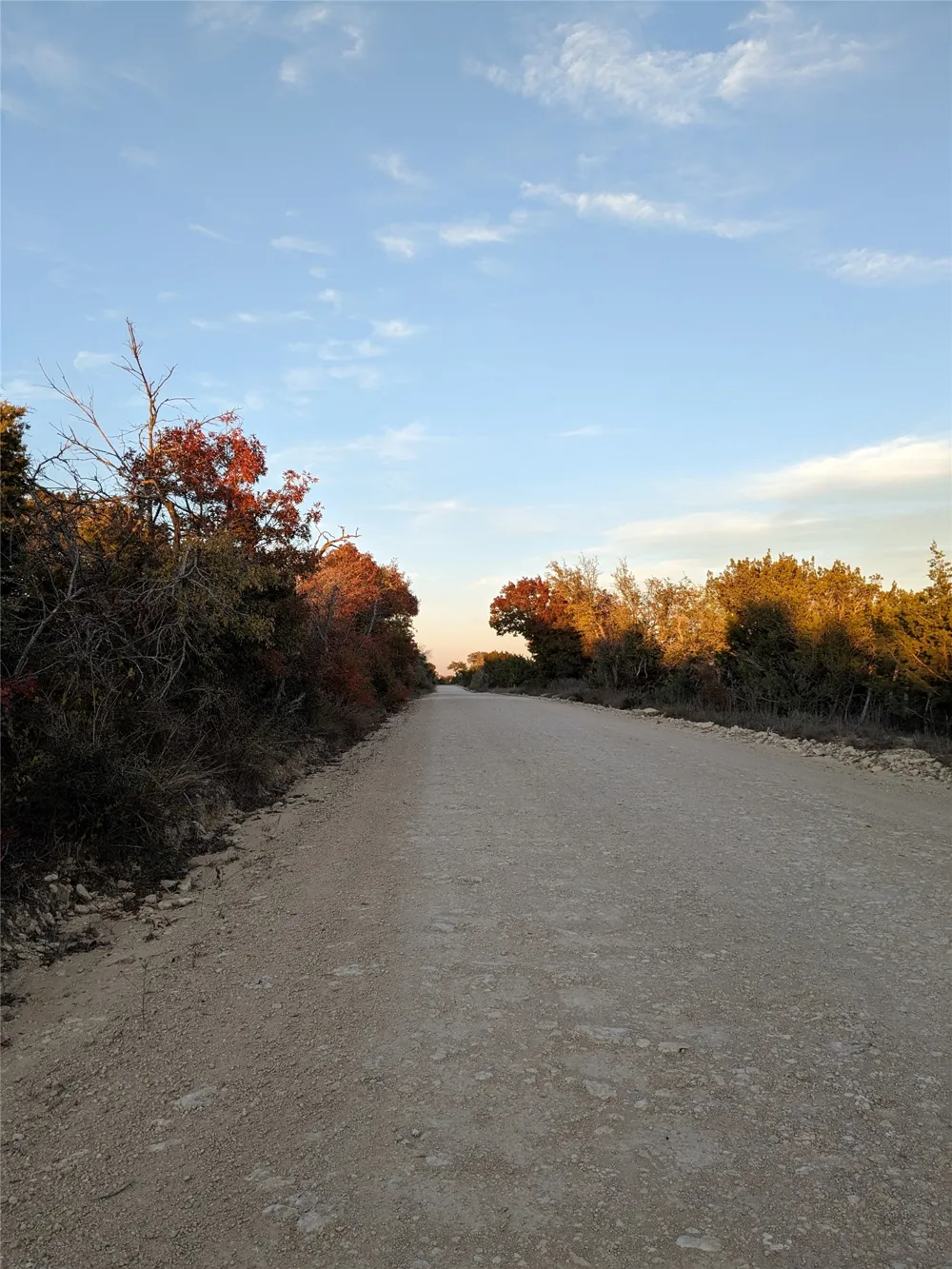 1314 CR 127 Carlton, TX 76456