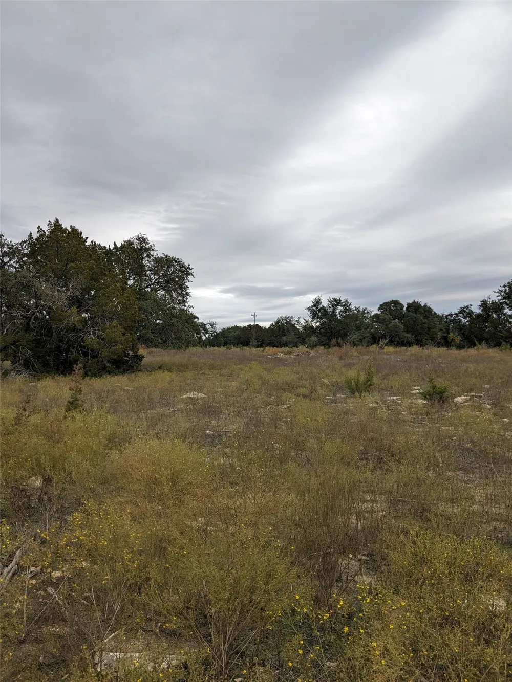 1314 CR 127 Carlton, TX 76456