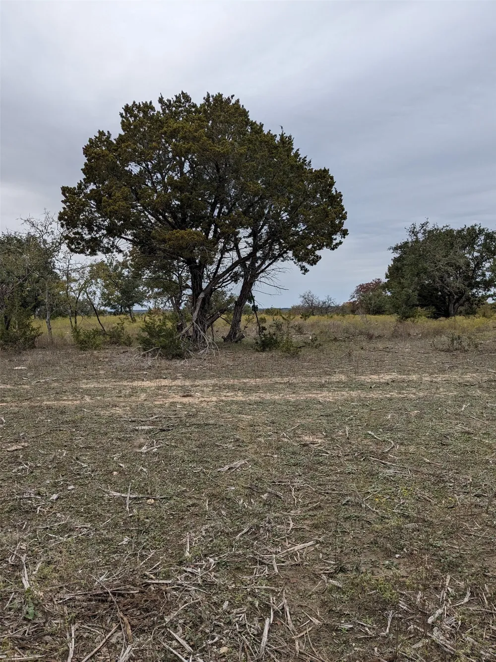 1314 CR 127 Carlton, TX 76456