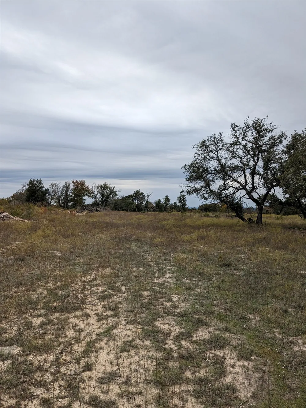1314 CR 127 Carlton, TX 76456