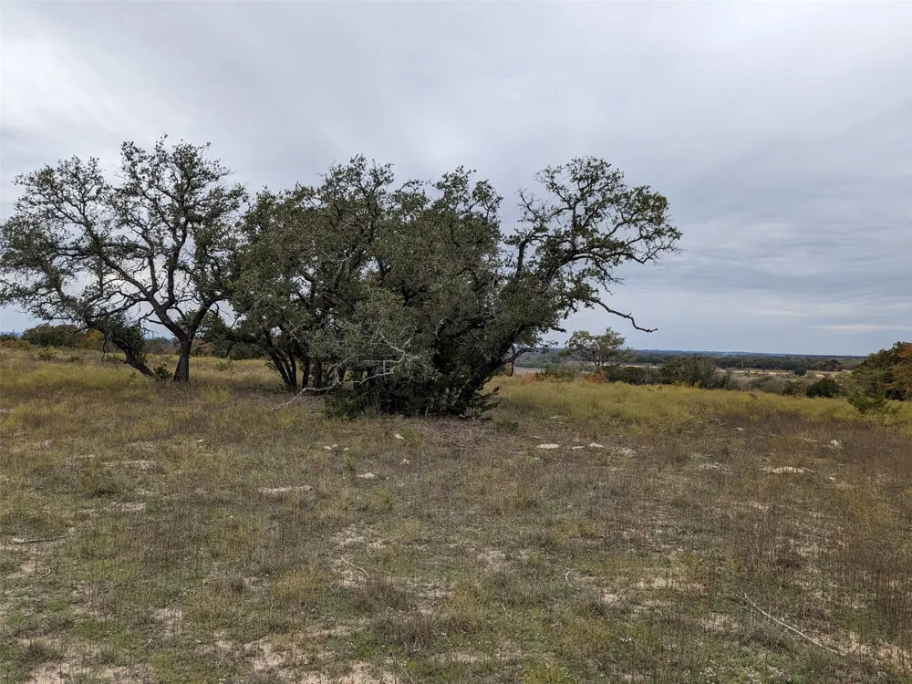 1314 CR 127 Carlton, TX 76456