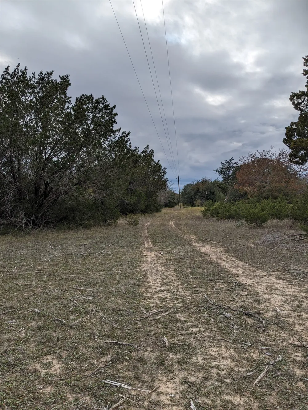 1314 CR 127 Carlton, TX 76456