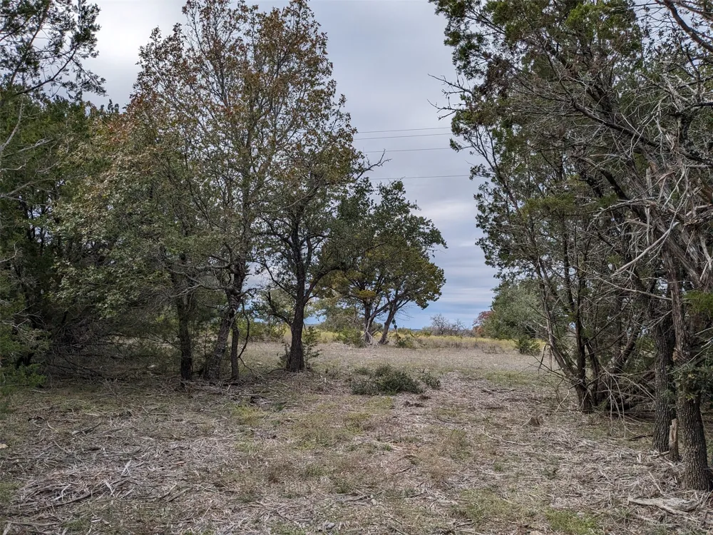 1314 CR 127 Carlton, TX 76456