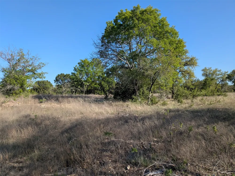 1314 CR 127 Carlton, TX 76456