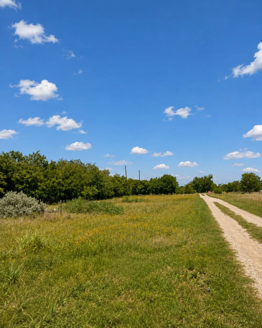 3951 Fm 970 Florence, TX 76527