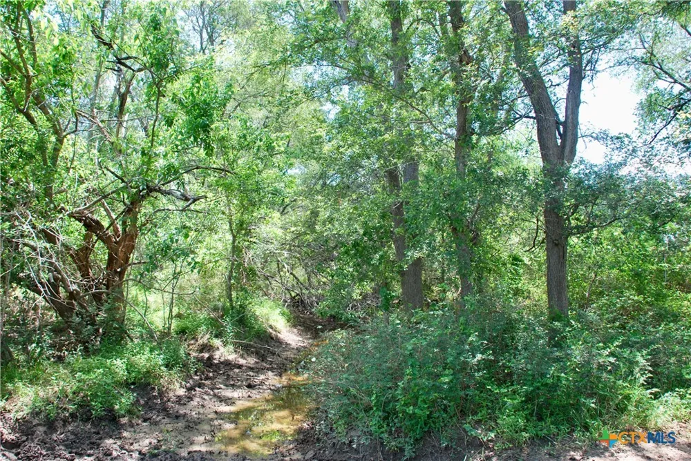 2340 Langdon Road Weimar, TX 78962