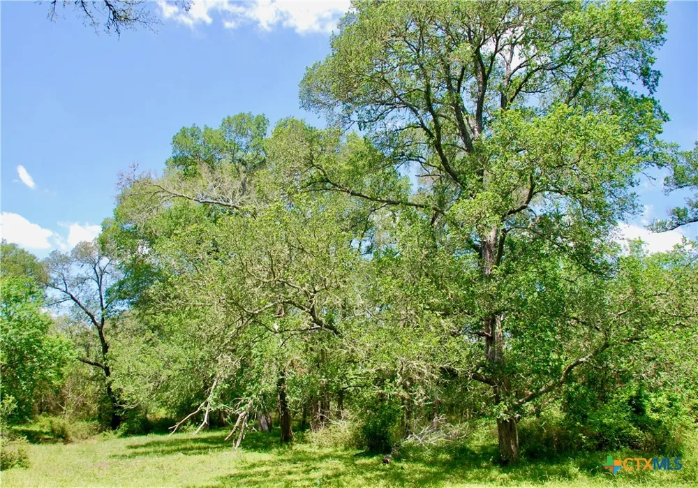 2340 Langdon Road Weimar, TX 78962