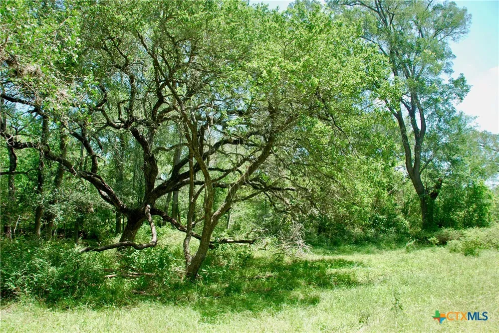 2340 Langdon Road Weimar, TX 78962