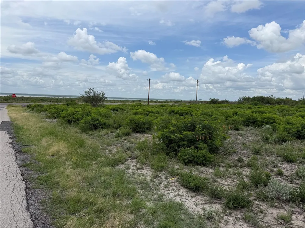 120 Quail Ridge Three Rivers, TX 78071