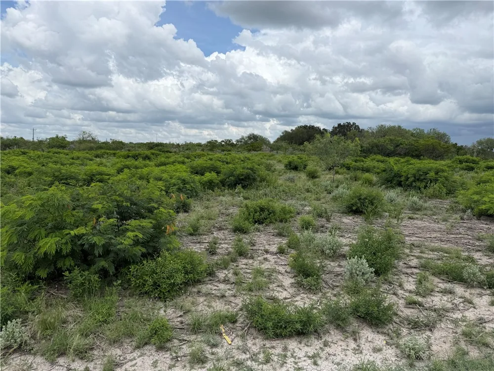 120 Quail Ridge Three Rivers, TX 78071
