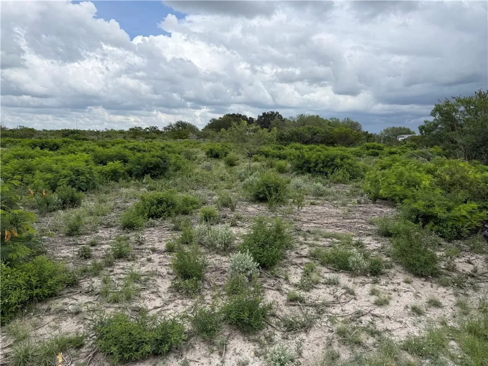 120 Quail Ridge Three Rivers, TX 78071