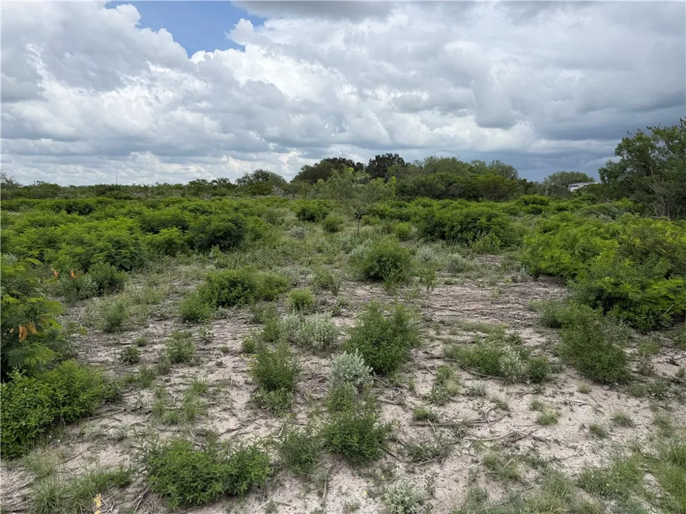 120 Quail Ridge Three Rivers, TX 78071