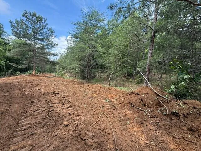 10811 S Pittsburg Mountain Road South Pittsburg, TN 37380