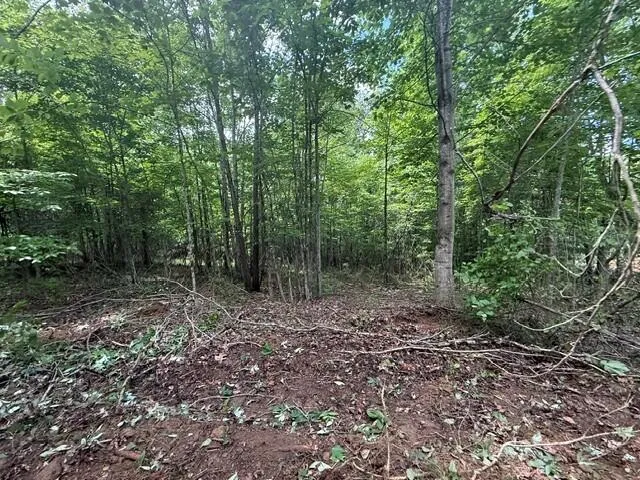 10811 S Pittsburg Mountain Road South Pittsburg, TN 37380
