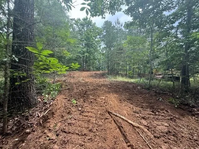10811 S Pittsburg Mountain Road South Pittsburg, TN 37380