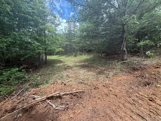 10811 S Pittsburg Mountain Road South Pittsburg, TN 37380