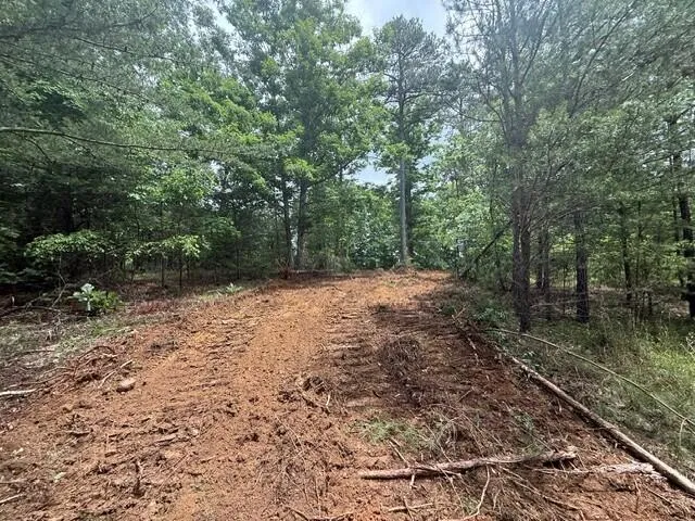 10811 S Pittsburg Mountain Road South Pittsburg, TN 37380