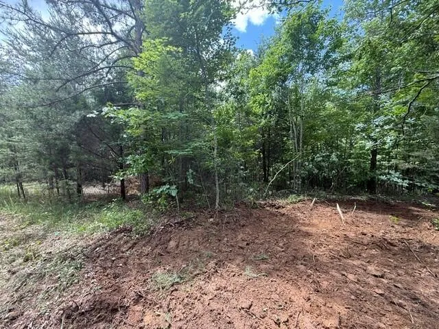 10811 S Pittsburg Mountain Road South Pittsburg, TN 37380