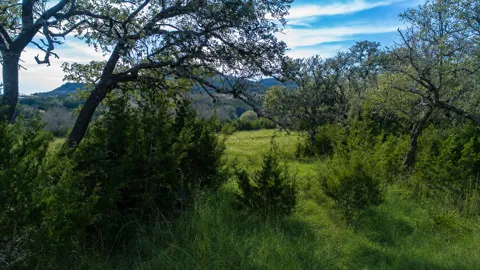 717 Bluff Ridge Trail