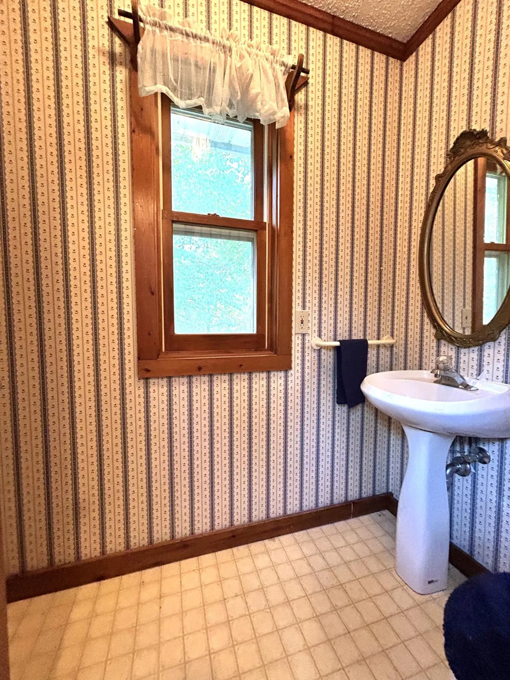 13076 Pine Vista Drive Gonvick, MN 56644