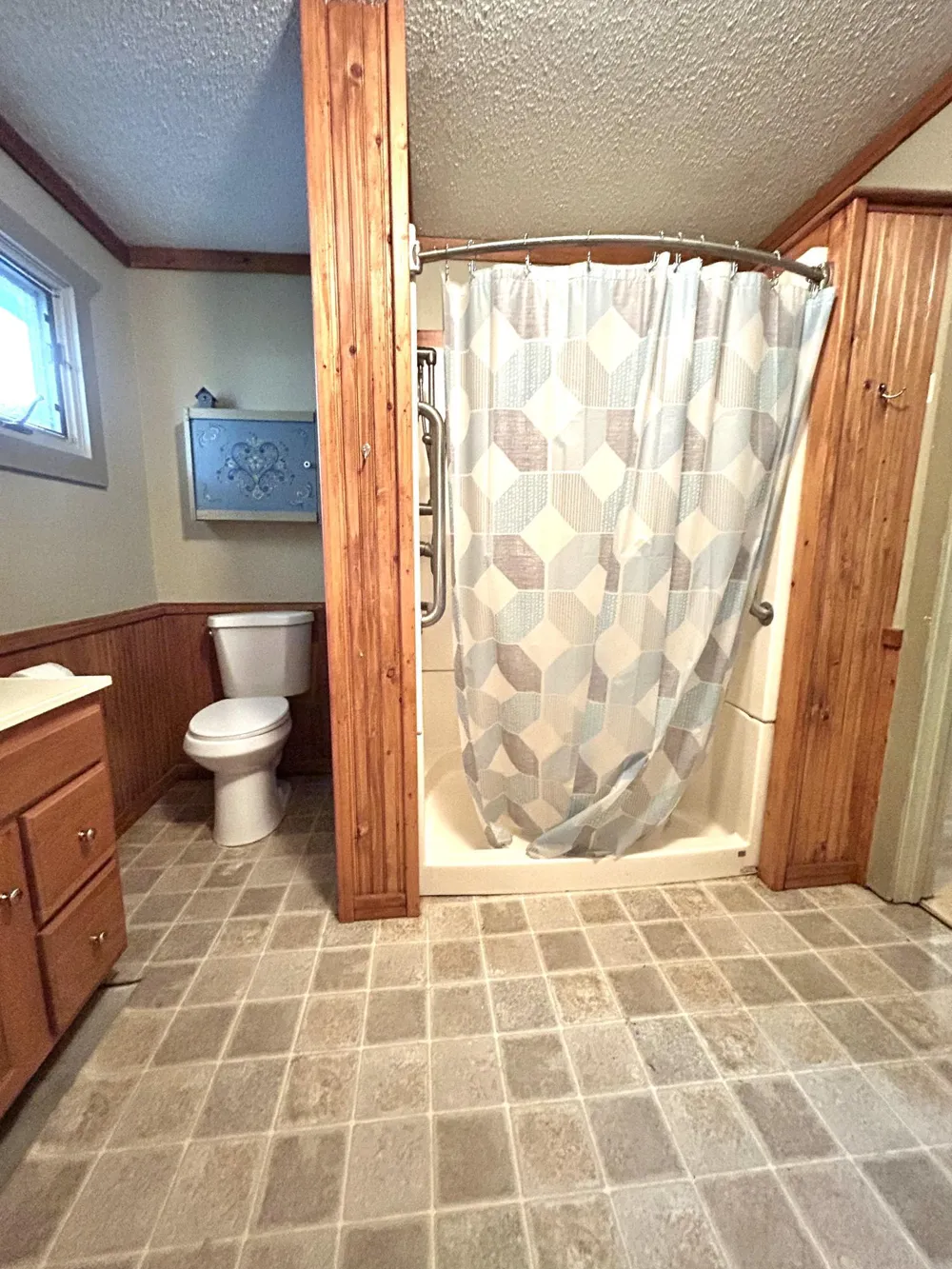 13076 Pine Vista Drive Gonvick, MN 56644