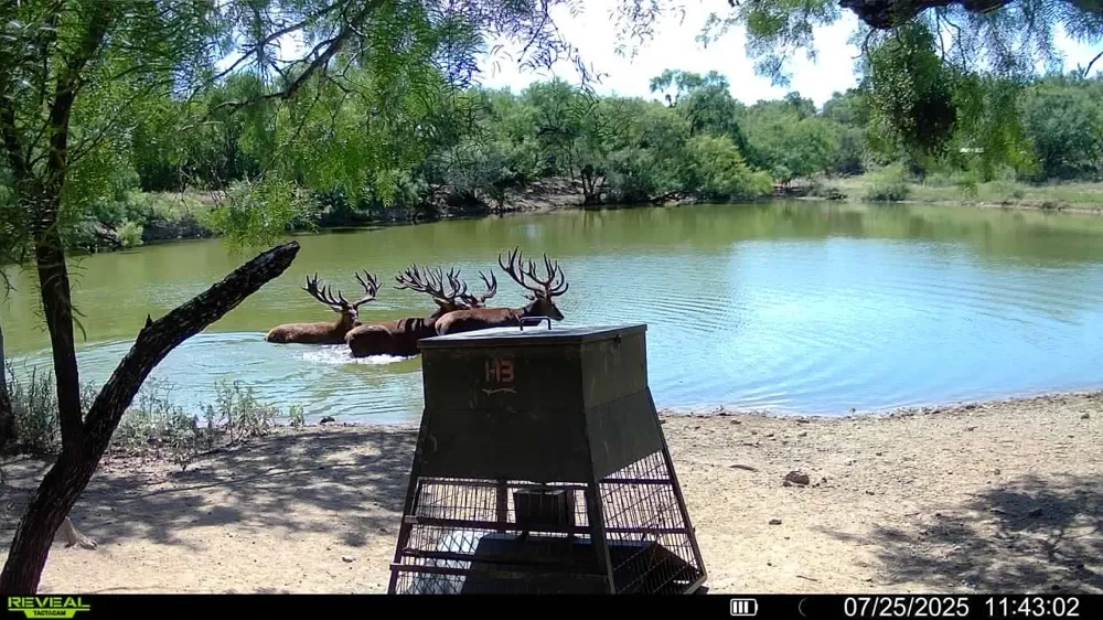 1797 FM 1026 Coleman, TX 76834